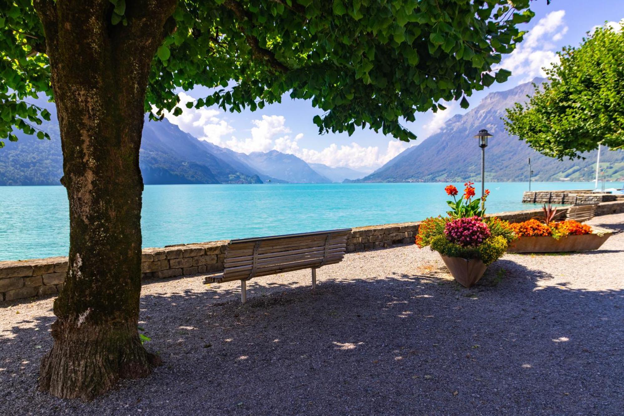 Am Schoenen Brienzersee Apartment *